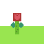 rosa per la mama de marti