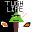 david tugh life