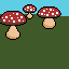 mushrooms