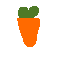 it hw carrot