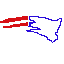 new england patriots