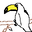 tucan1