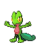 treecko gen 3