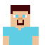 steve from minecraft