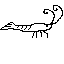 schrimp