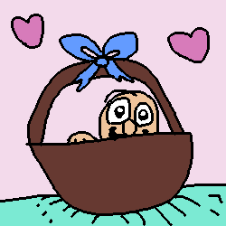 pet baldi little basket there and so all drew for now specific