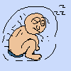 pet baldi