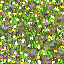 grass