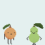 fruit
