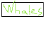 whales