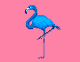 blue flamingo