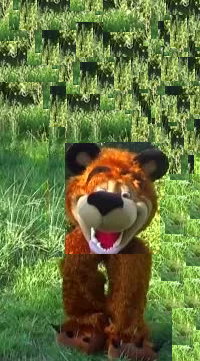 bear head and legs what do you say about this picture it s a joke