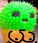 squishy cactus are dangerous female breast
