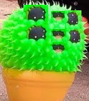 squishy cactus are dangerous