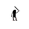 shadow attack
