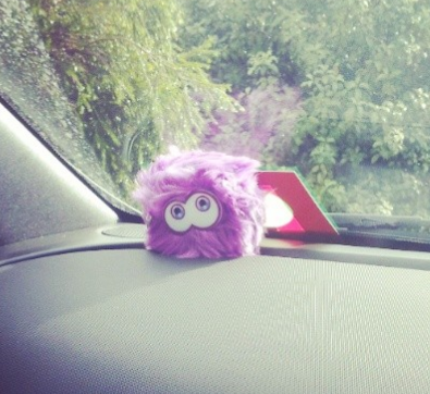 fuzzies are purple toy the people there had a good fight they grabbed my hair and tore it it hurt bald half of it so many tattersail that s where they fought billie they ll break this guy s neck