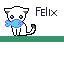 felix gato