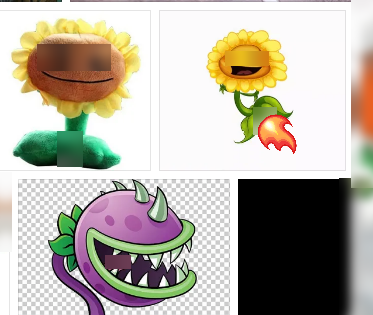 pvz dtmh 18