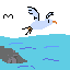 seagull