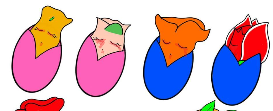 you will cry from these plants they are so cute they are all dead