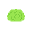 bush