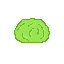 bush 2