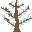 spruce sapling