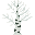 birch sapling