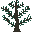 spruce sapling