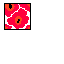 flowers_pink