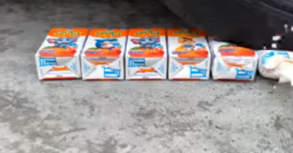the milk broke because the car crushed it