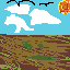 swamp