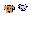 dog koala