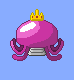 queen jellyfish