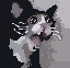 Sprite #192354