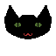 blackcat