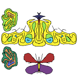 butterfungi2