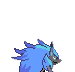 zoroark facing towards opponent