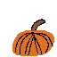 pumkin