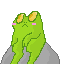 pondering frog