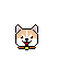 ca pixel