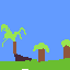 campo 2