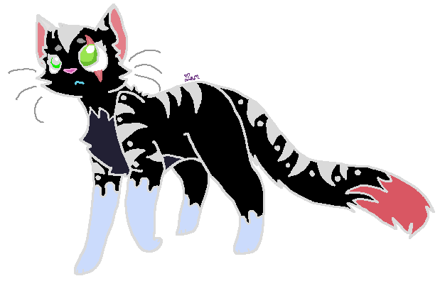 gato negro v