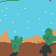 the desert