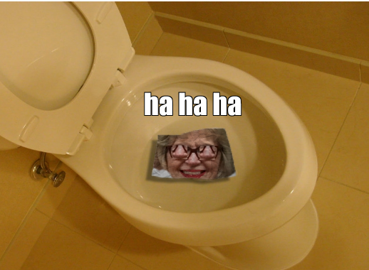 peggle 17 this picture is floating in the toilet what do you say about this picture