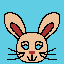rabbit