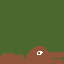 alegater in the jungle swamp