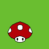 toad
