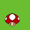 toad