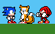 team sonic